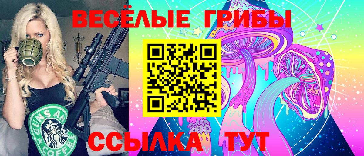 Псилоцибиновые грибы MAGIC MUSHROOMS  Вход с VPN  Ревда 